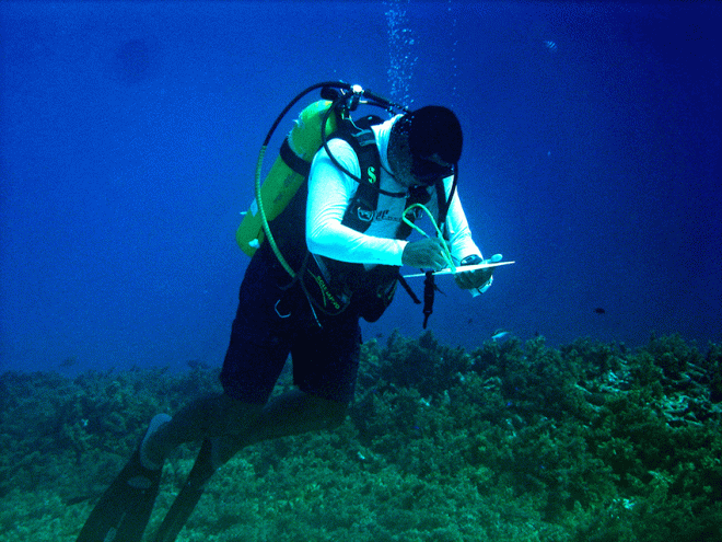 Nature Seychelles staff carrying out monitoring of Coral Reefs under the Reef Rescuers Project